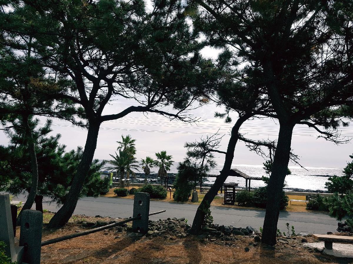 Getbawi Pension ソギポ エクステリア 写真